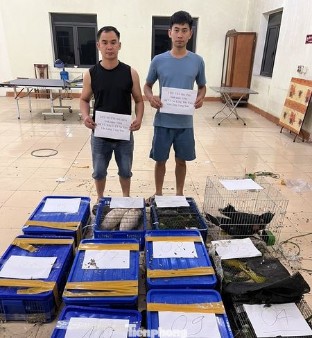 Tang vật vụ án. Tang vật vụ án.