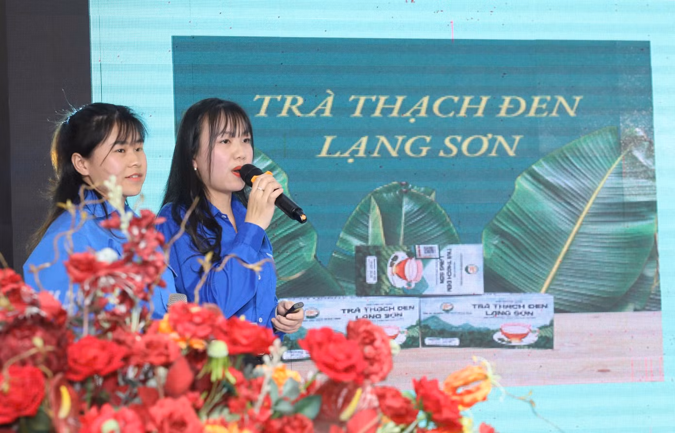 Nhiều dự án thanh niên phát triển đặc sản địa phương. Nhiều dự án thanh niên phát triển đặc sản địa phương.