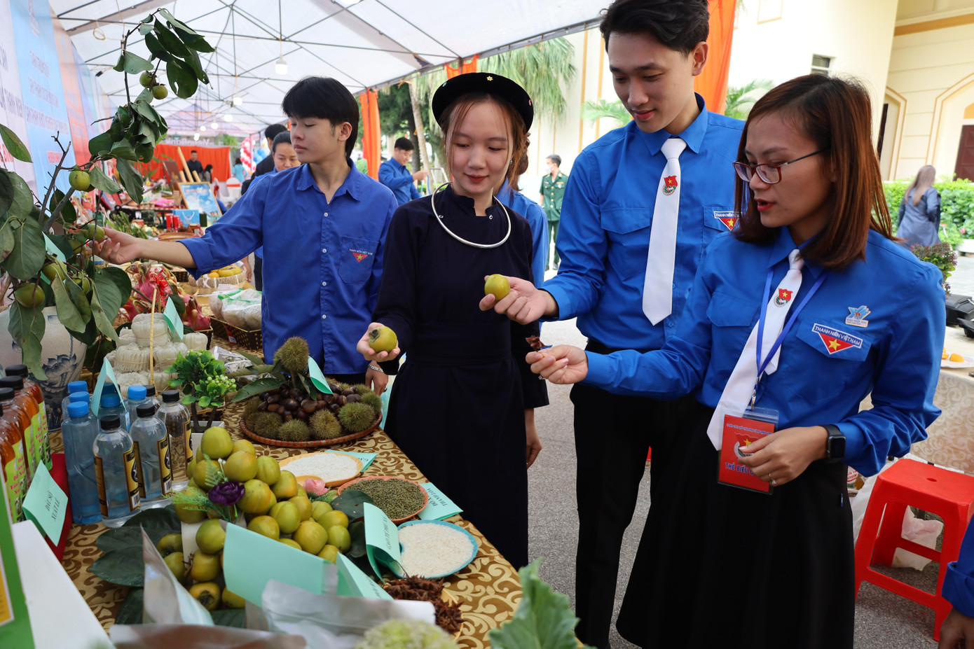 Tuổi trẻ xứ Lạng giới thiệu quả hồng không hạt Bảo Lâm và các sản vật riêng có ở địa phương - Ảnh: Duy Chiến Tuổi trẻ xứ Lạng giới thiệu quả hồng không hạt Bảo Lâm và các sản vật riêng có ở địa phương - Ảnh: Duy Chiến