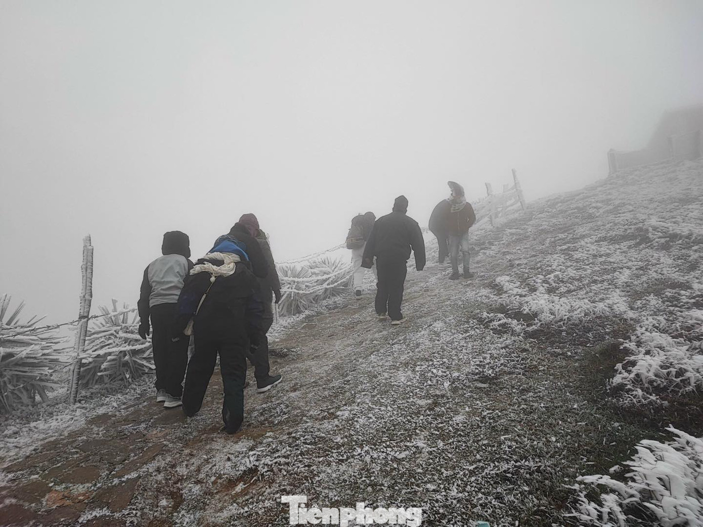 Nhiều người lên Mẫu Sơn ngắm băng tuyết.