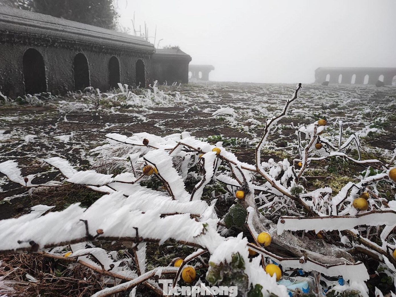 Sáng 24/1, băng tuyết tiếp tục xuất hiện ở Mẫu Sơn.