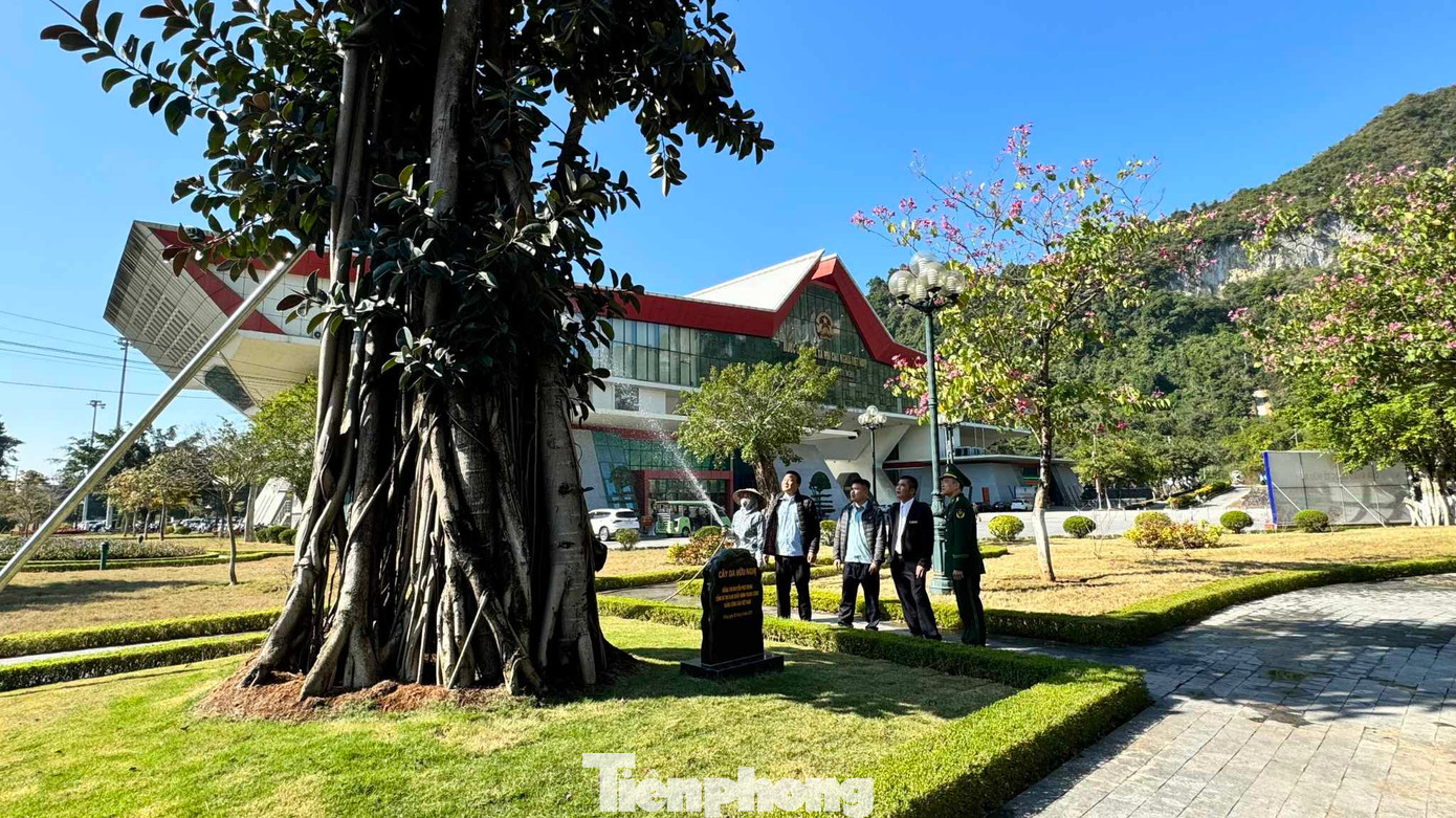 Các đơn vị làm việc tại cửa khẩu thường chăm sóc, bảo vệ cây đa. Ảnh: Duy Chiến Các đơn vị làm việc tại cửa khẩu thường chăm sóc, bảo vệ cây đa. Ảnh: Duy Chiến