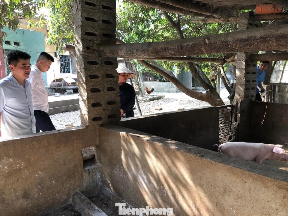 Chi cục Thú y Lạng Sơn kiểm tra công tác phòng chống dịch tả lợn châu Phi ở cơ sở. Chi cục Thú y Lạng Sơn kiểm tra công tác phòng chống dịch tả lợn châu Phi ở cơ sở.