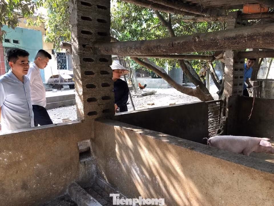 Chi cục Thú y Lạng Sơn kiểm tra công tác phòng chống dịch tả lợn châu Phi ở cơ sở.
