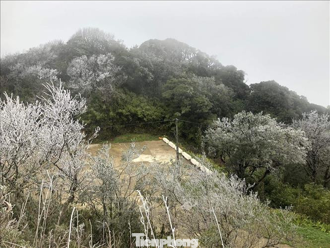 Càng về chiều tối, băng tuyết càng dầy, đẹp