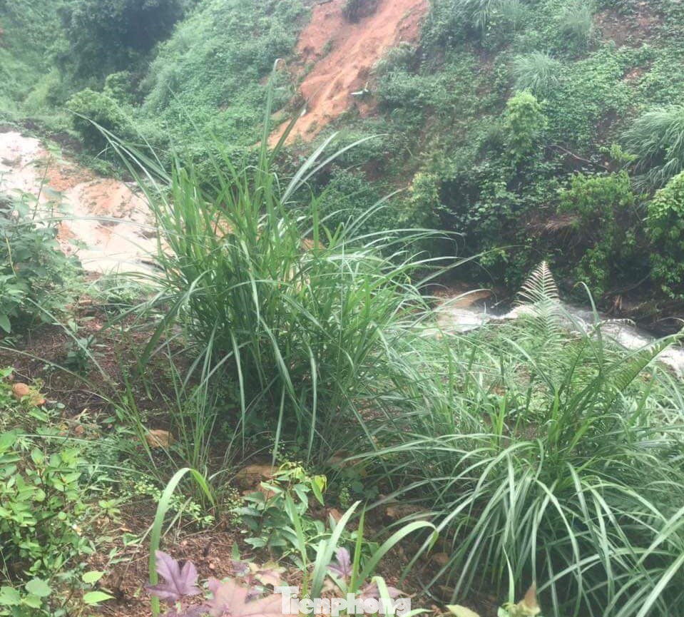 Khu vực đồi Văn Vỉ rộng, nhiều khe lạch rất phức tạp, Ảnh: Duy Chiến Khu vực đồi Văn Vỉ rộng, nhiều khe lạch rất phức tạp, Ảnh: Duy Chiến