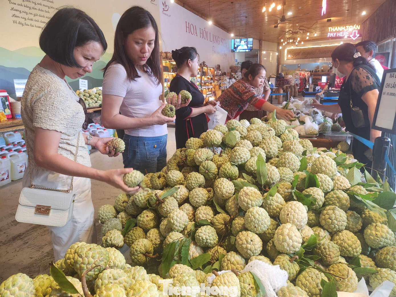 Du khách lên xứ Lạng dịp này được thưởng thức những trái na đặc sản Chi Lăng (ảnh: Duy Chiến). Du khách lên xứ Lạng dịp này được thưởng thức những trái na đặc sản Chi Lăng (ảnh: Duy Chiến).