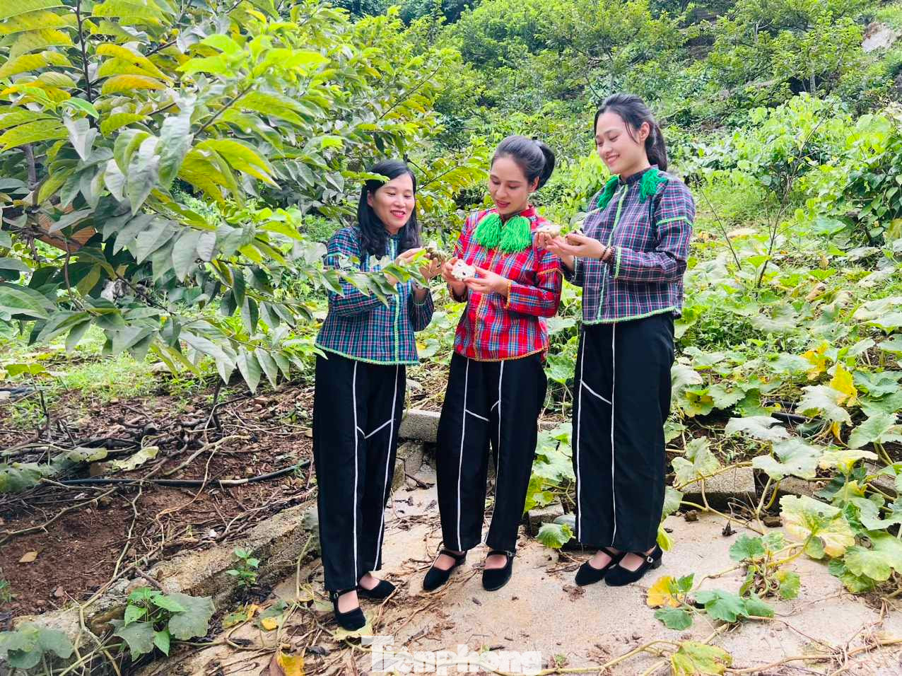 Từ hỗ trợ vốn của nhà nước cũng như áp dụng khoa học kỹ thuật, vụ na ở huyện Chi Lăng, Lạng Sơn đã có vụ mùa bội thu. Từ hỗ trợ vốn của nhà nước cũng như áp dụng khoa học kỹ thuật, vụ na ở huyện Chi Lăng, Lạng Sơn đã có vụ mùa bội thu.