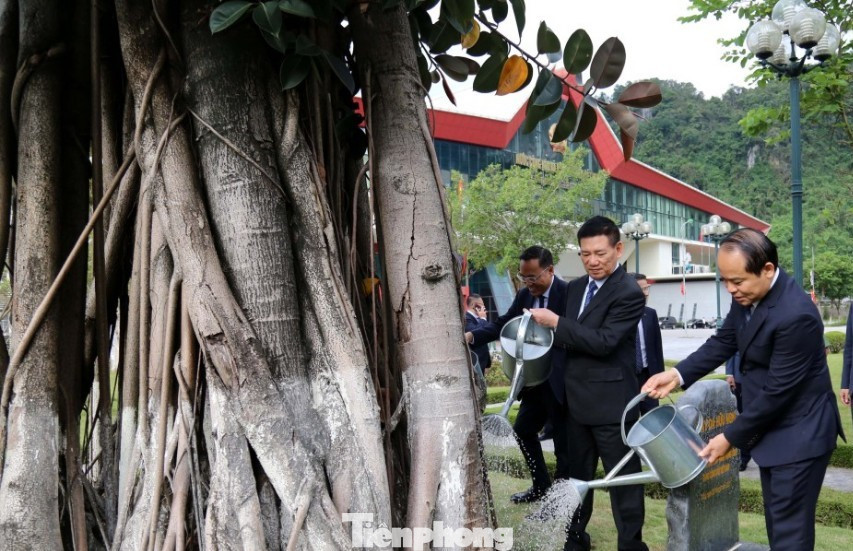 Phó Thủ tướng Hồ Đức Phớc chăm sóc cây đa Hữu Nghị.