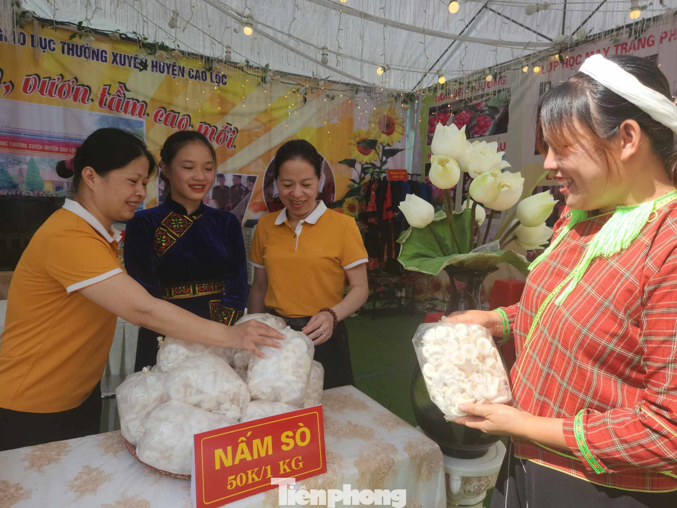 Nấm sò do giáo viên, học sinh Trung tâm GDNN-GDTX Cao Lộc sản xuất tại địa phương. Nấm sò do giáo viên, học sinh Trung tâm GDNN-GDTX Cao Lộc sản xuất tại địa phương.