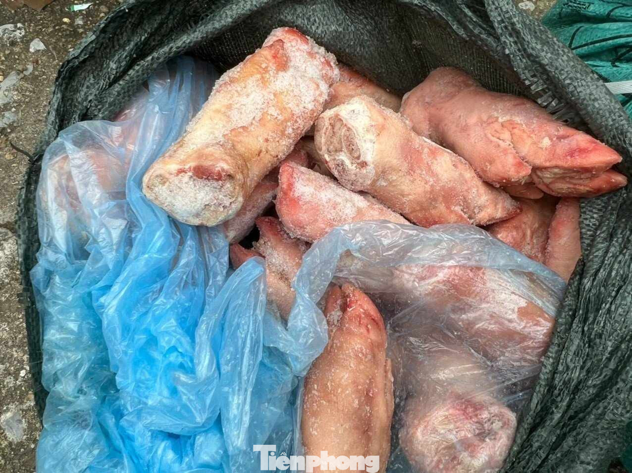 Mặc dù đã cấp đông nhưng đa số hàng móng giò lợn biểu hiện xuống cấp, bốc mùi hôi thối. Ảnh: Duy Chiến