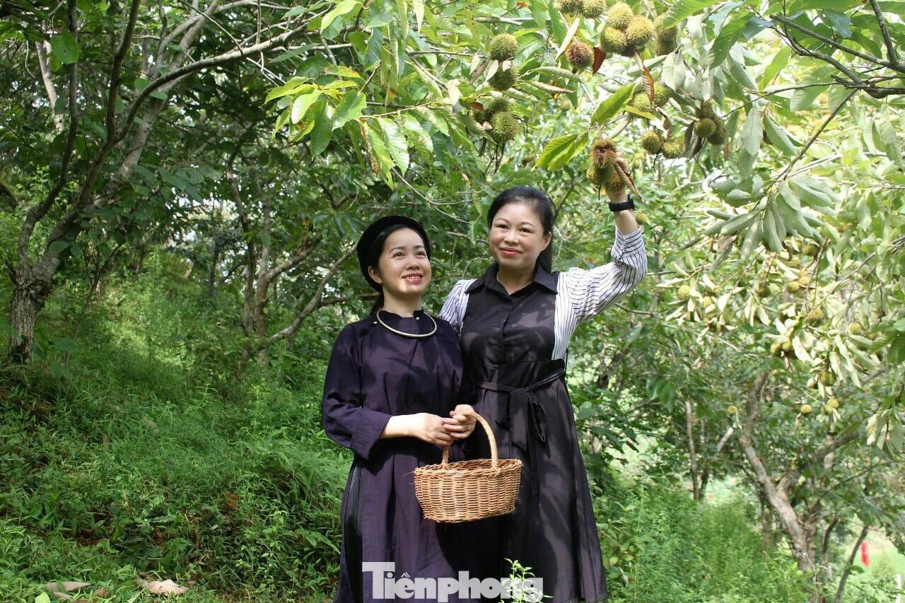 Du khách cùng thiếu nữ người địa phương trải nghiệm trong rừng dẻ Lạng Sơn -Ảnh: TL