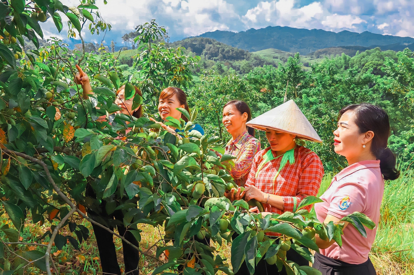 Học tập mô hình phát triển cây đặc sản quả hồng Bảo Lâm của gia đình chị Hoàng Thị Hiển, thôn Chè Lân, xã Hòa Cư, huyện Cao Lộc- một tấm gương phụ nữ vượt khó vươn lên làm giàu chính đáng.