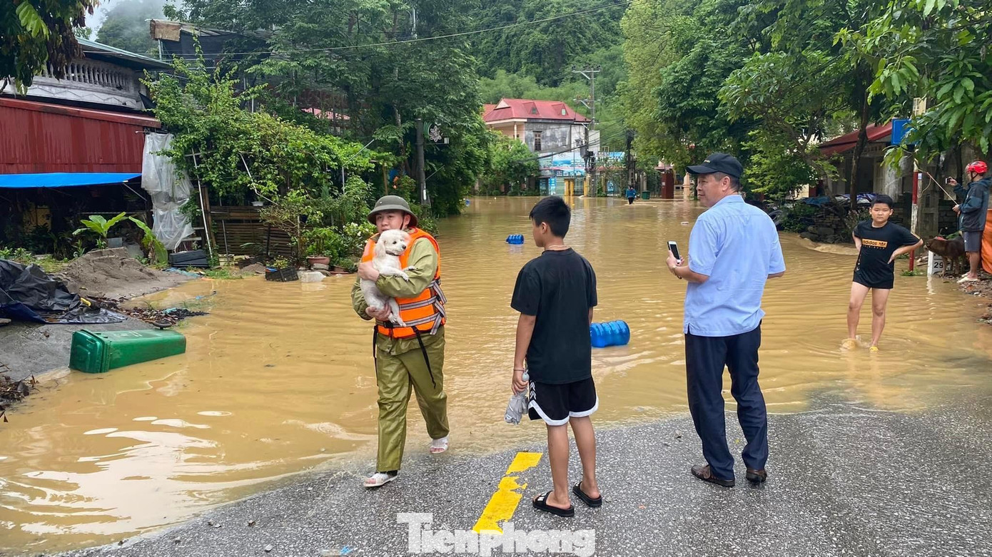 Không chỉ con người, tài sản, những con vật nuôi trong gia đình người gặp nạn cũng được "giải cứu" kịp thời -Ảnh: M. Hùng