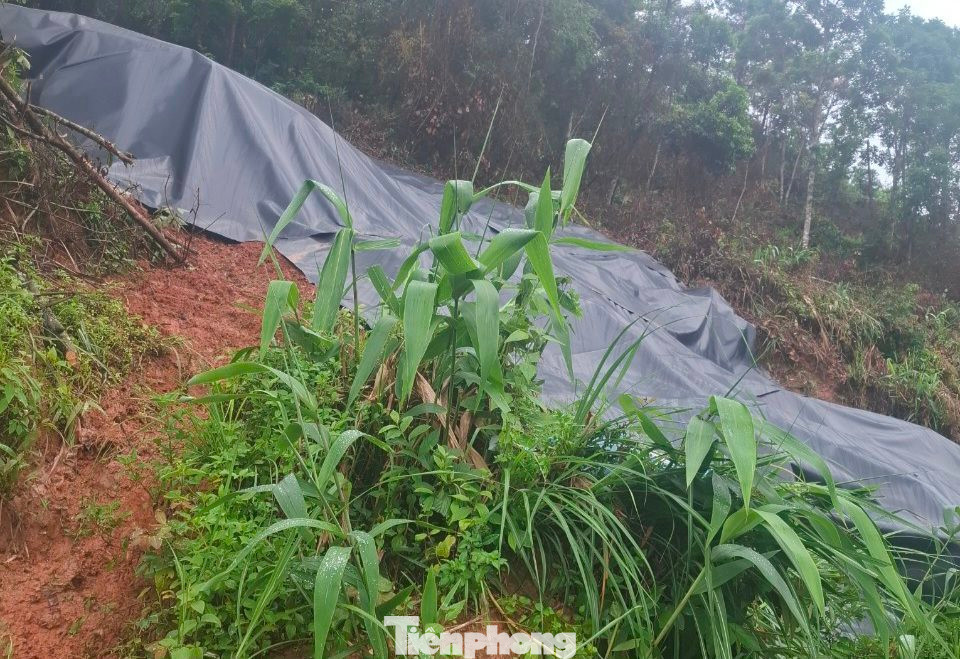 Lực lượng chức năng địa phương phủ bạt chống thấm nước xuống những vị trí nguy hiểm.