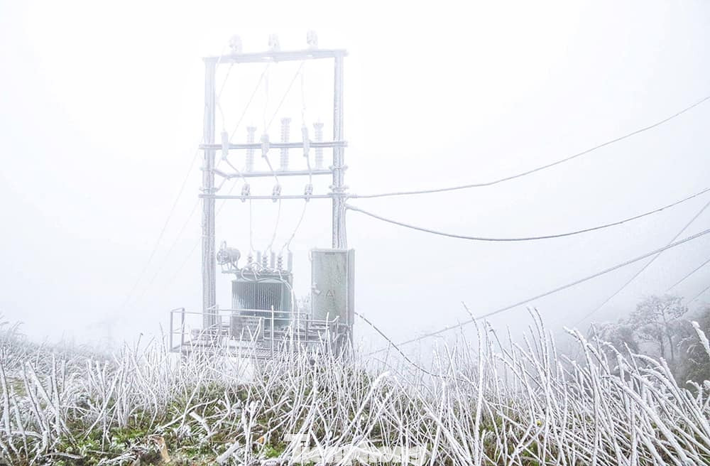 Đến sáng 24/1, không khí lạnh tăng cường, nhiệt độ giảm xuống -1,1 độ, xuất hiện băng giá phủ trắng khu vực đỉnh Mẫu Sơn (huyện Lộc Bình, tỉnh Lạng Sơn). Trời mưa rét, có gió lạnh buốt. Các cột điện và lưới điện gần như bị phủ kín băng giá. Trong ảnh: Băng tuyết xuất hiện, bám chặt vào cây cỏ và cột dây điện ở Mẫu Sơn.