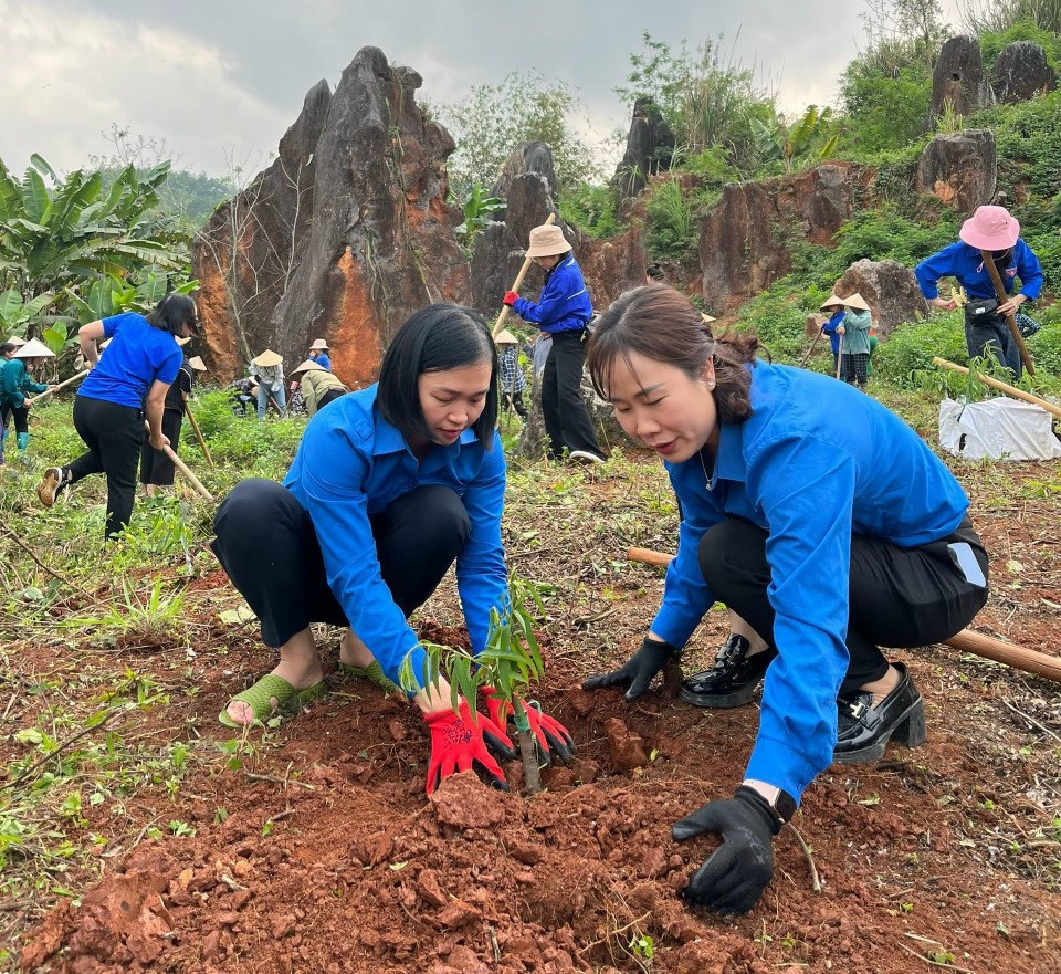 Trồng cây, gây rừng dịp đầu năm. Trồng cây, gây rừng dịp đầu năm.