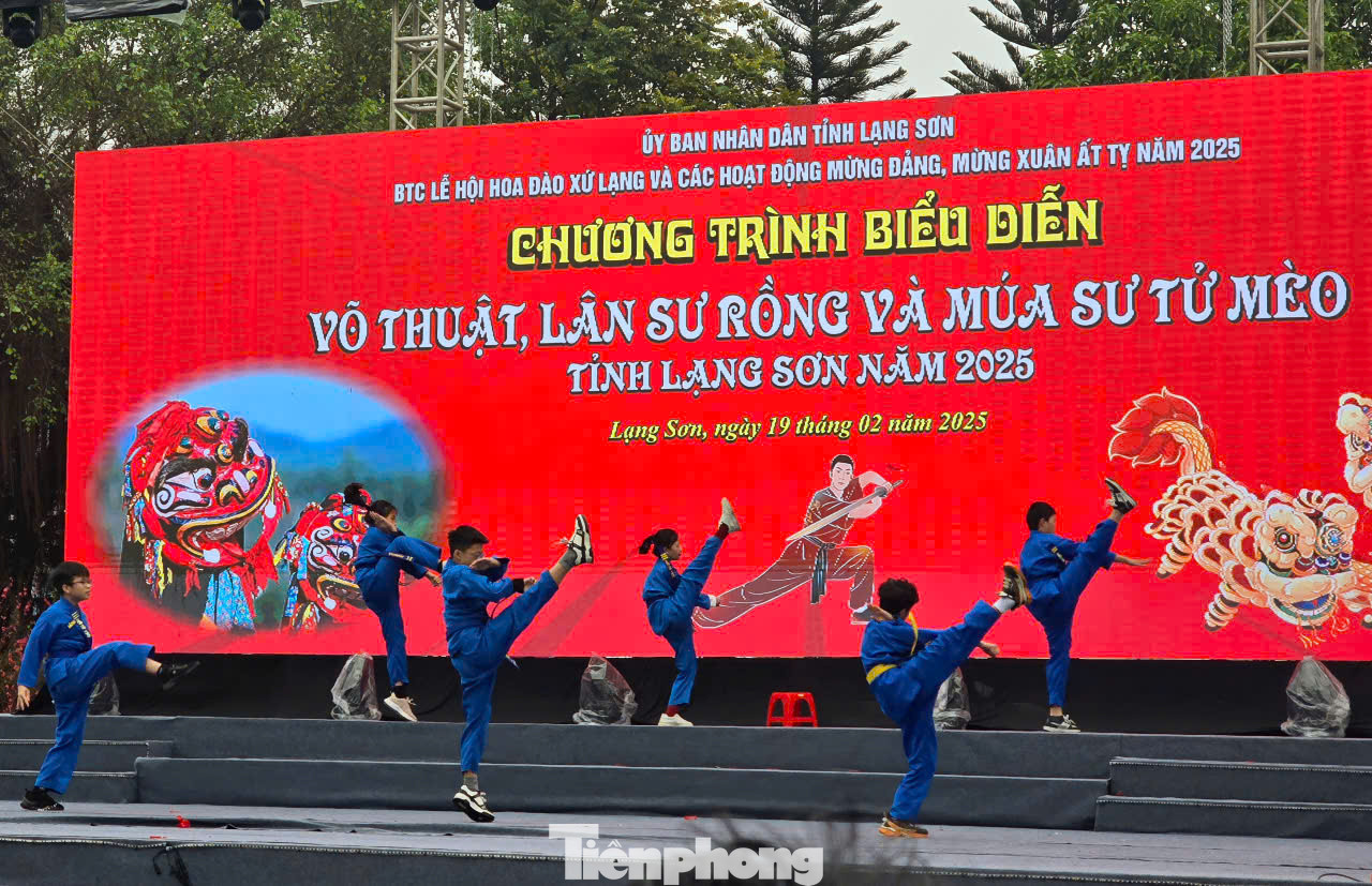 Võ sĩ môn phái Vovinam tham gia biểu diễn, thi đấu đẹp mắt. Ảnh: Duy Chiến.