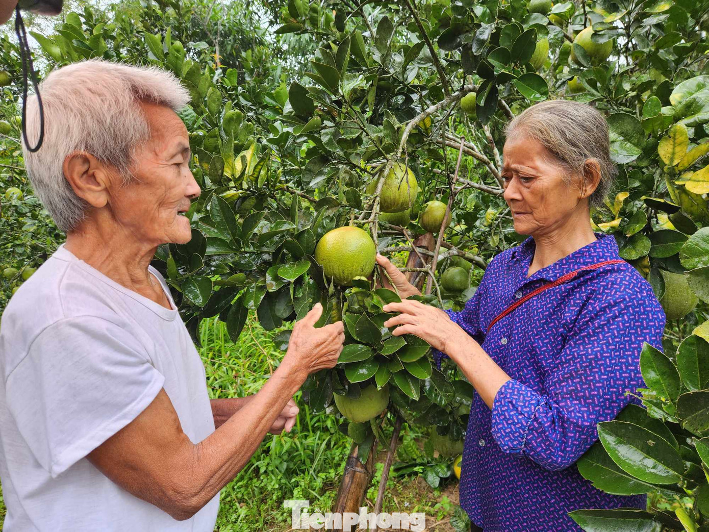 Được sự giúp đỡ của cấp ủy, chính quyền và tham gia của tuổi trẻ huyện Tràng Định, cuộc sống gia đình ông Phương Văn Phín đã dần ổn định. Ảnh: Duy Chiến Được sự giúp đỡ của cấp ủy, chính quyền và tham gia của tuổi trẻ huyện Tràng Định, cuộc sống gia đình ông Phương Văn Phín đã dần ổn định. Ảnh: Duy Chiến