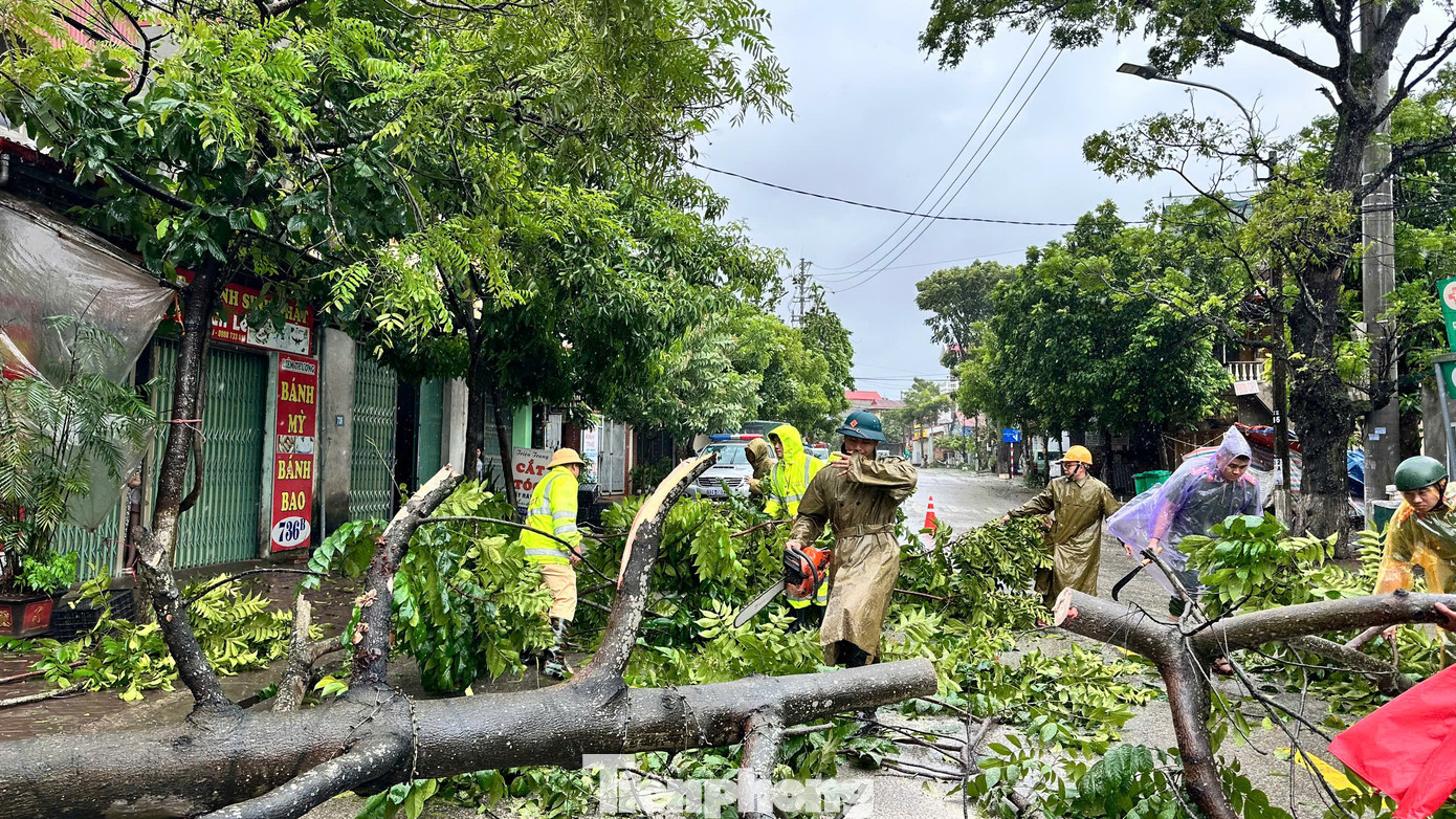 Hàng loạt cây cối gãy đổ ở đường phố.