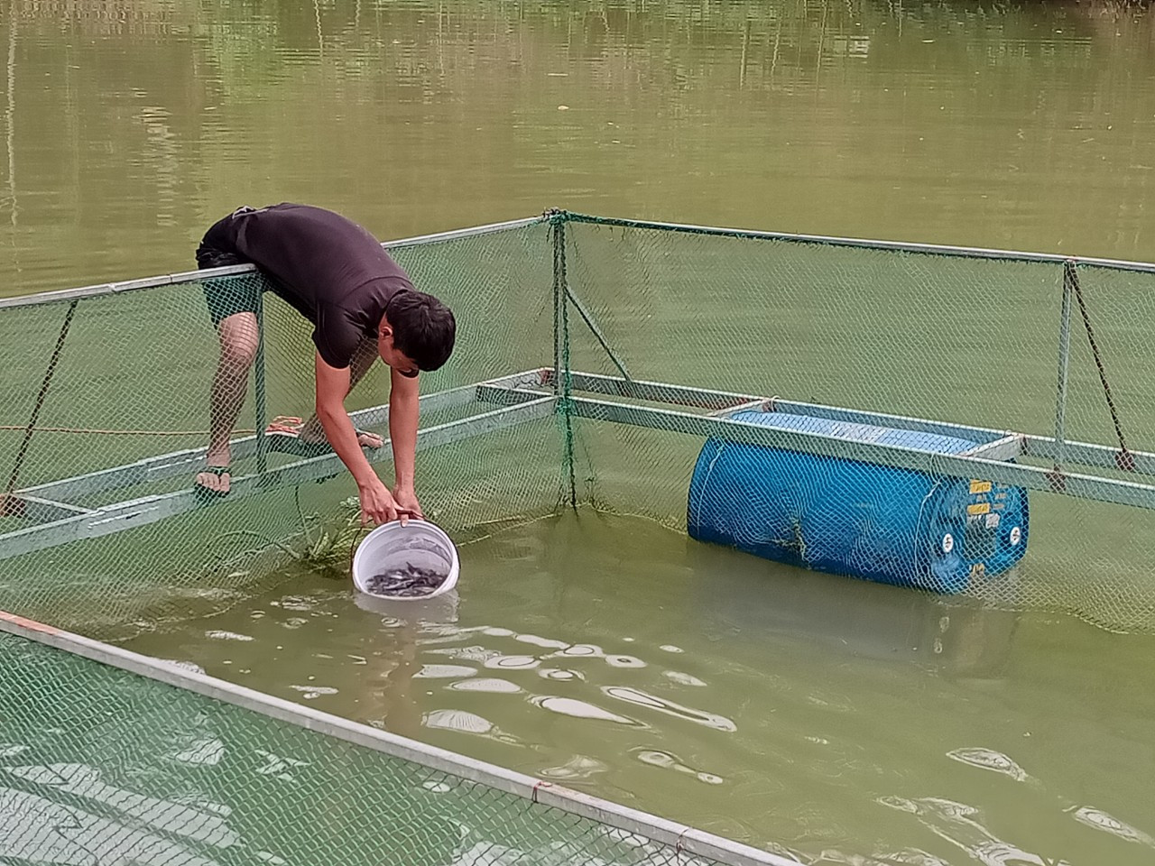 Tổ khuyến nông cộng đồng ở Lạng Sơn vận động người dân phát triển mô hình nuôi cá nheo Mỹ đem lại hiệu quả kinh tế cao. Tổ khuyến nông cộng đồng ở Lạng Sơn vận động người dân phát triển mô hình nuôi cá nheo Mỹ đem lại hiệu quả kinh tế cao.
