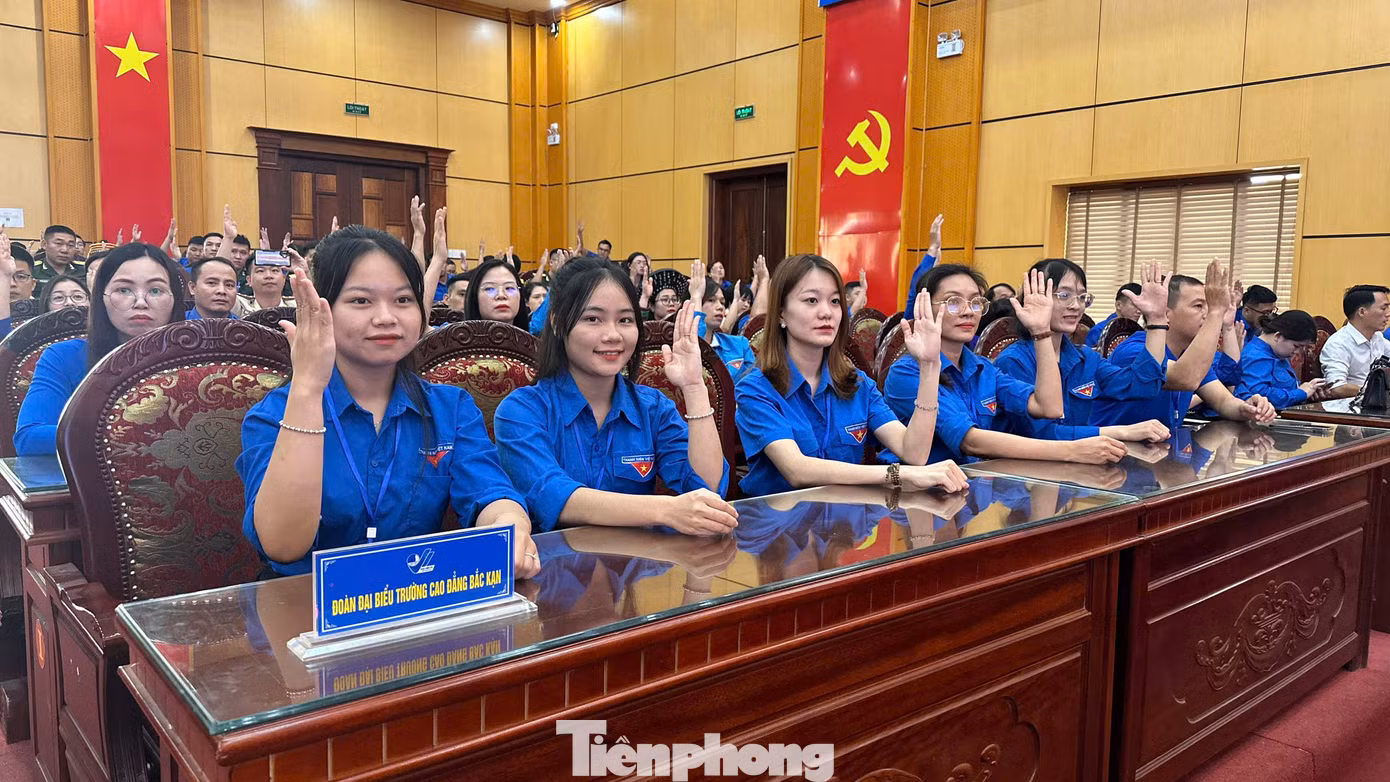Đoàn kết, thống nhất cao.