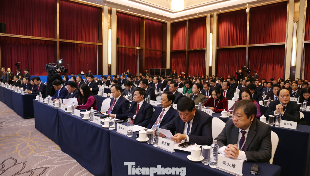 Các đại biểu tham dự chương trình.