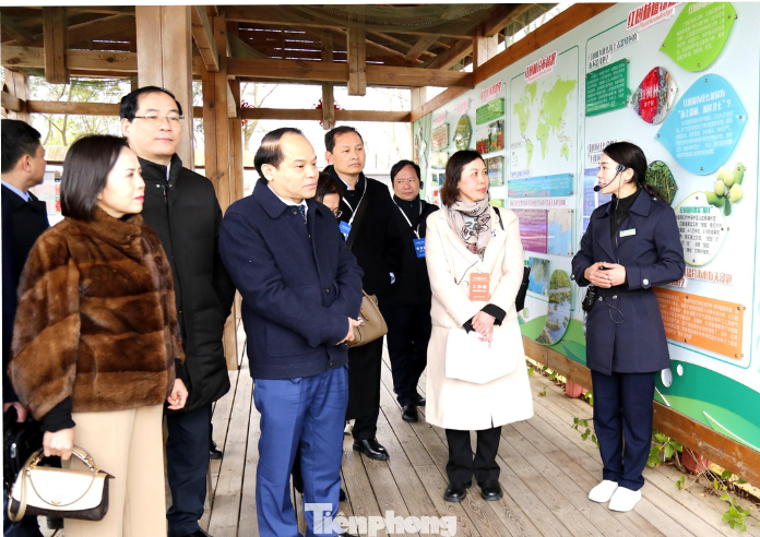 Đoàn đại biểu tỉnh Lạng Sơn thăm, học tập mô hình phát triển kinh tế, du lịch tại Quảng Tây, Trung Quốc.