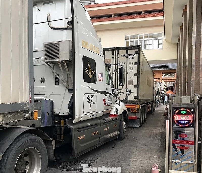 Việc khôi phục hàng hóa qua cửa khẩu Tân Thanh và các cặp cửa khẩu khác ở Cốc Nam, Hữu Nghị góp phần đẩy mạnh xuất nhập khẩu qua biên giới Lạng Sơn. Việc khôi phục hàng hóa qua cửa khẩu Tân Thanh và các cặp cửa khẩu khác ở Cốc Nam, Hữu Nghị góp phần đẩy mạnh xuất nhập khẩu qua biên giới Lạng Sơn.