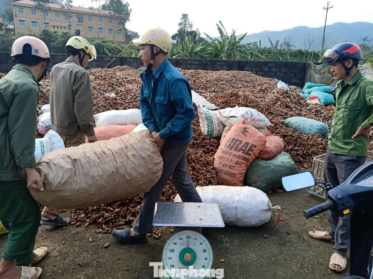 Củ nghệ vàng Chi Lăng được tiêu thụ nhiều, biến thành hàng hóa, giúp người dân địa phương giảm nghèo bền vững -Ảnh: Duy Chiến Củ nghệ vàng Chi Lăng được tiêu thụ nhiều, biến thành hàng hóa, giúp người dân địa phương giảm nghèo bền vững -Ảnh: Duy Chiến