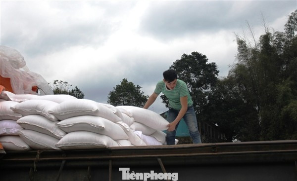 Tiếp nhận gạo cho hộ nghèo, cận nghèo tỉnh Cao Bằng. Tiếp nhận gạo cho hộ nghèo, cận nghèo tỉnh Cao Bằng.