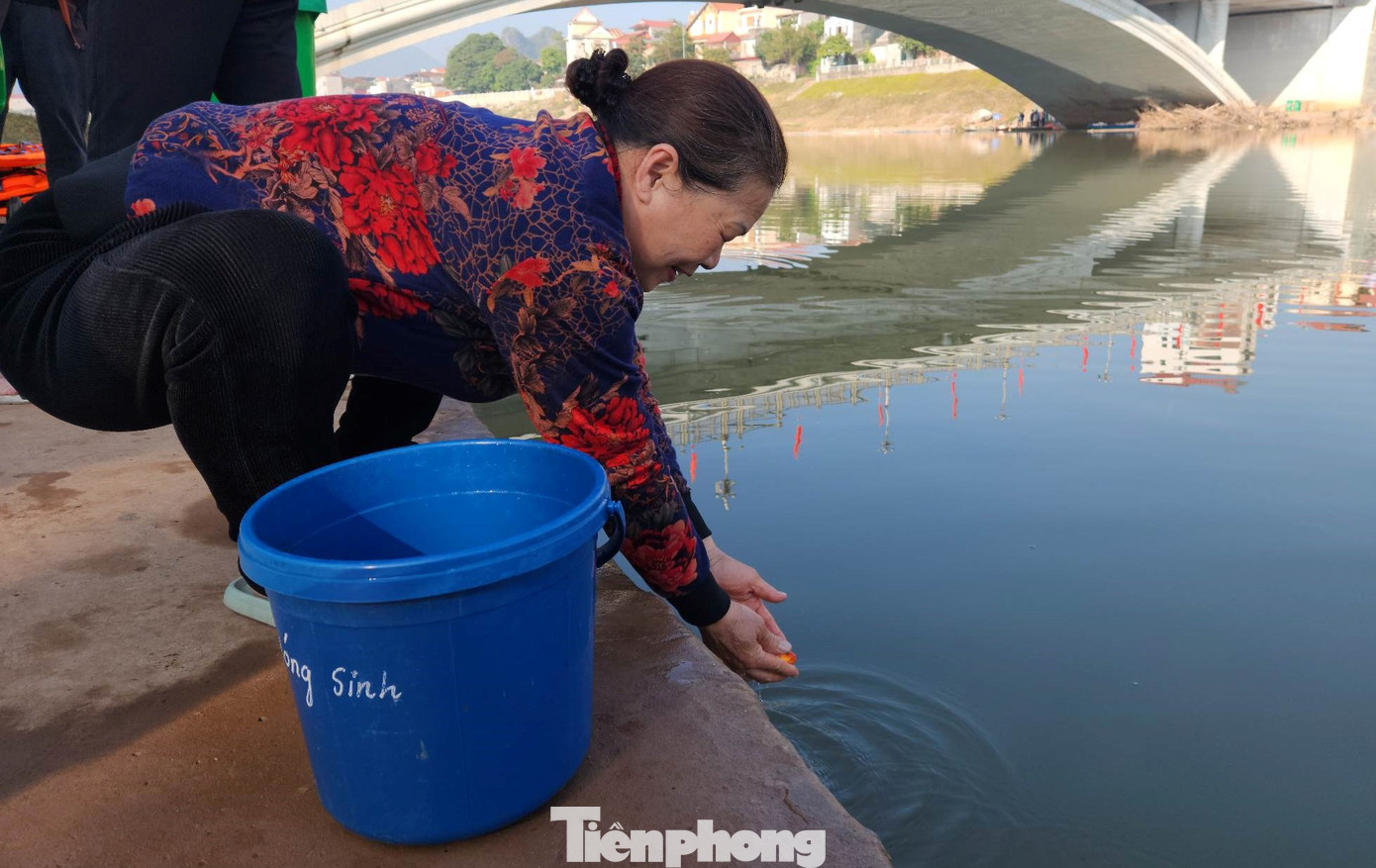 Người dân phóng sinh cá chép ở sông Kỳ Cùng. Ảnh: Duy Chiến Người dân phóng sinh cá chép ở sông Kỳ Cùng. Ảnh: Duy Chiến