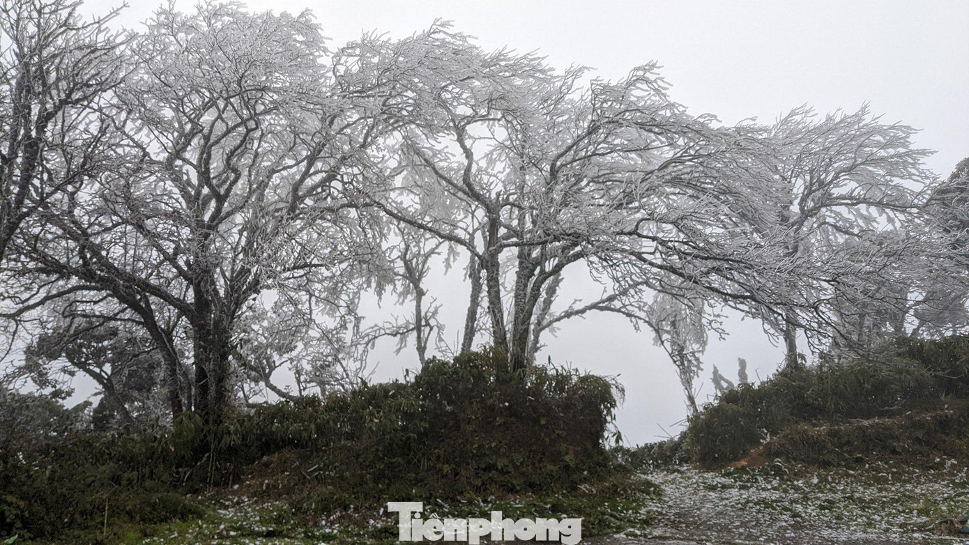Khoảng 2 giờ sáng nay, tại Phia Oắc nhiệt độ đã xuống âm 3 độ C, trời buốt giá, mưa, gió thổi nhẹ, trên tràng cỏ, cành cây có những vạt băng tuyết đậu khá dầy. Dãy núi đá vôi Phia Oắc nom từ xa trắng màu, nom rất ấn tượng. Trong ảnh: Nhiệt độ xuống âm 3 độ C, núi rừng Phja Oắc của tỉnh Cao Bằng lại trở nên lung linh, huyền ảo. Ảnh: HC