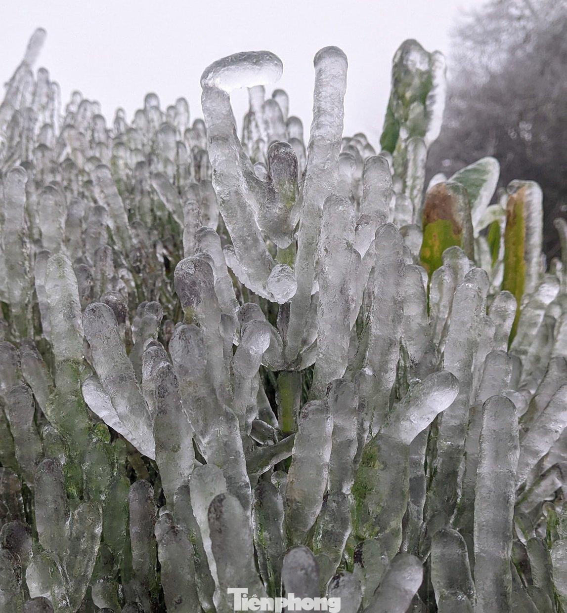 Khí hậu khắc nghiệt đã gây khó khăn, xáo trộn cho người dân nơi đây. Nước sinh hoạt của các cán bộ chiến sĩ canh gác trên đỉnh Phia Oắc bị đóng băng do nhiệt độ xuống quá thấp.