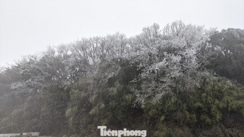 Trước tình hình rét đậm, rét hại diễn biến phức tạp, các địa phương trong tỉnh Cao Bằng tăng cường kiểm tra, tuyên truyền, vận động người dân thực hiện đầy đủ các biện pháp phòng, chống đói, rét cho vật nuôi, cây trồng, hạn chế thiệt hại do thời tiết khắc nghiệt. Ảnh: HC