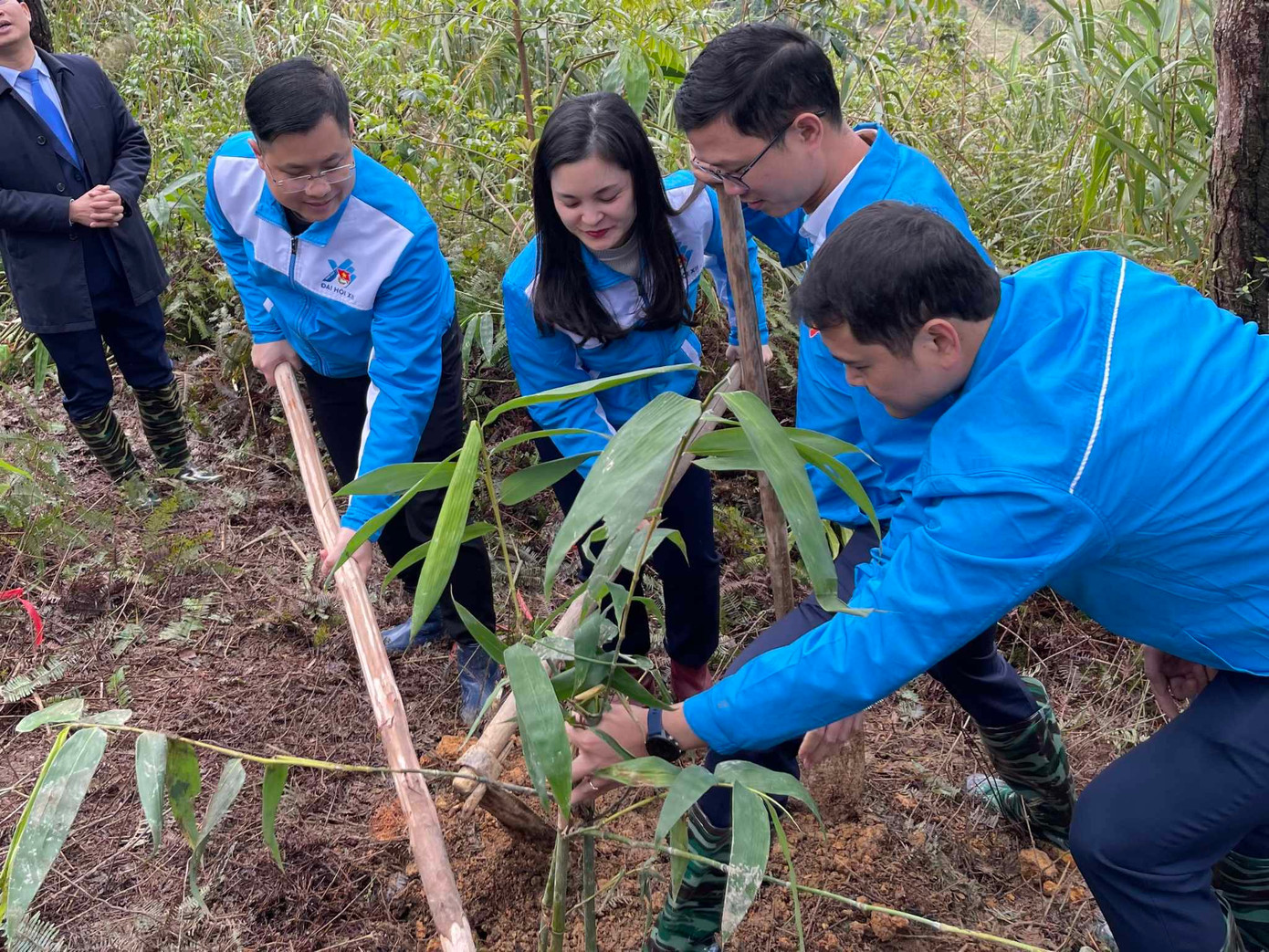 Tuổi trẻ Lạng Sơn tham gia trồng "lũy tre biên giới Việt". Ảnh: Duy Chiến