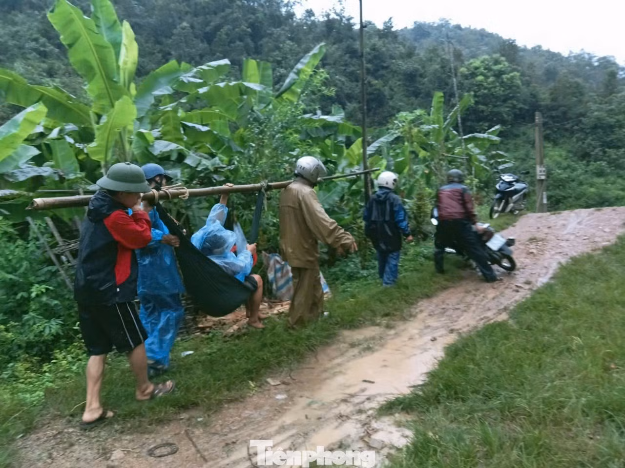 Khẩn trương đưa những người già, đau yếu đến vùng an toàn.