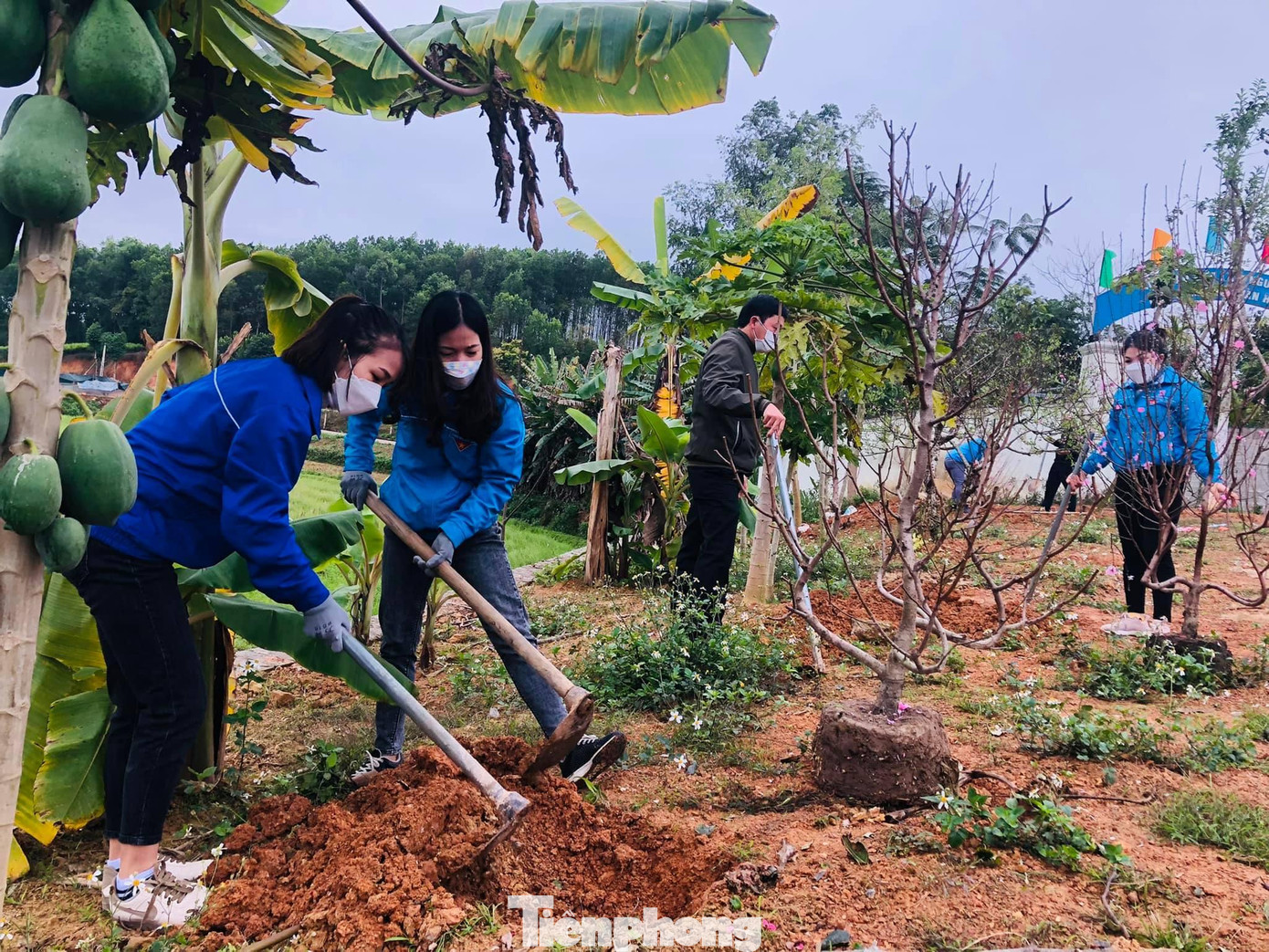 Đoàn viên, thanh niên huyện Hữu Lũng trồng 100 cây đào tại Trung tâm Hy vọng Lạng Sơn và khu du lịch Đồng Lâm, xã Hữu Liên (Hữu Lũng) -Ảnh: TL