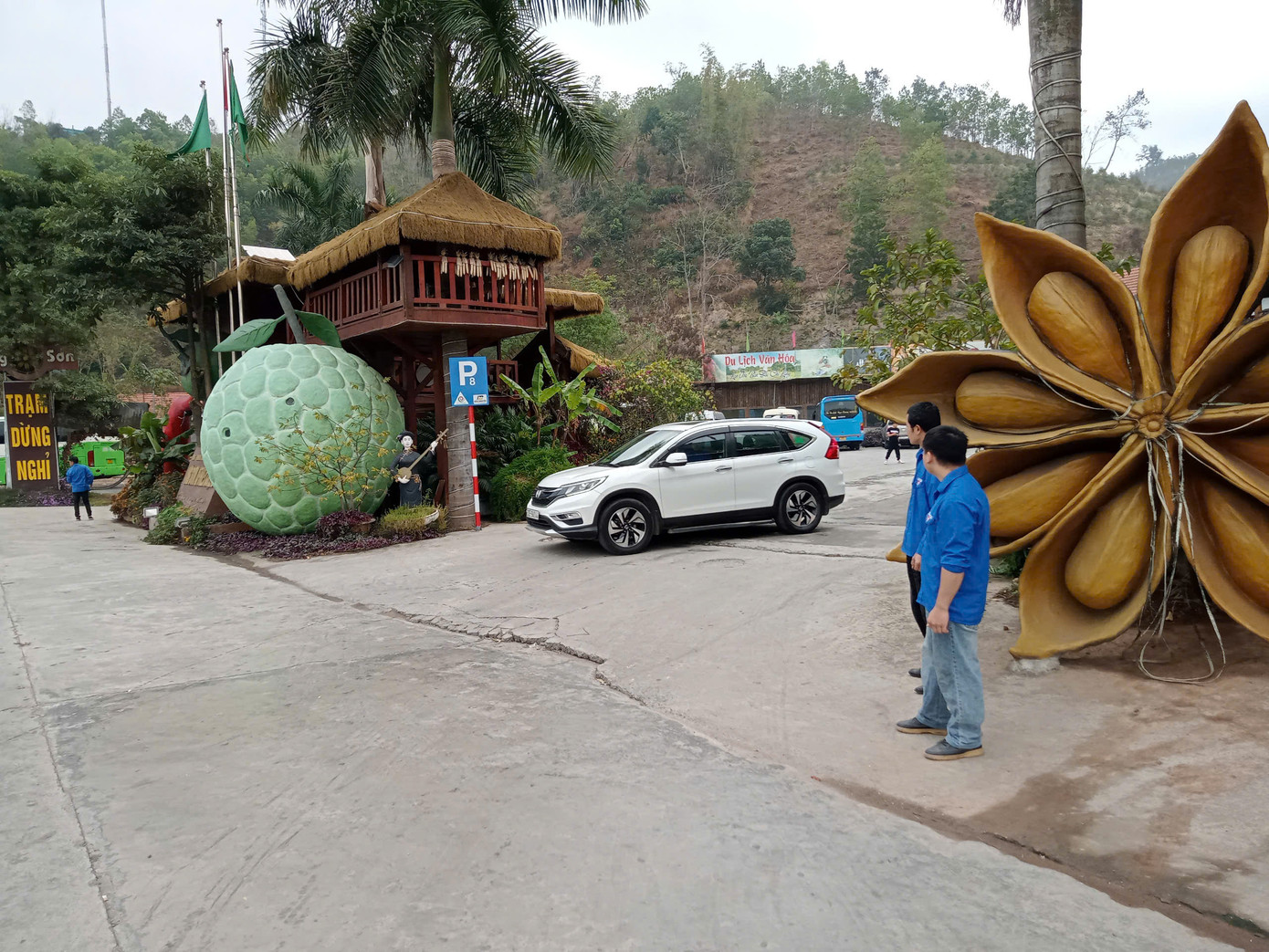 Hướng dẫn, điều tiết các phương tiện xe ô tô, tránh ách tắc giao thông.