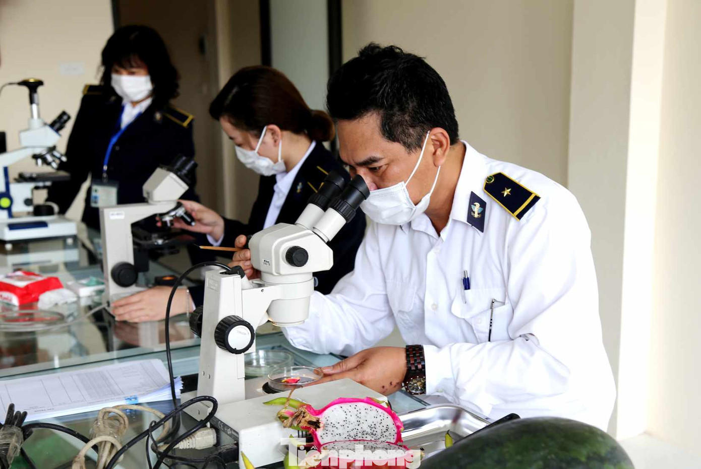 Cán bộ Kiểm dịch Y tế cửa khẩu Tân Thanh tăng giờ làm, giảm thủ tục hành chính để hoa quả xuất bán sang Trung Quốc nhanh chóng. Cán bộ Kiểm dịch Y tế cửa khẩu Tân Thanh tăng giờ làm, giảm thủ tục hành chính để hoa quả xuất bán sang Trung Quốc nhanh chóng.