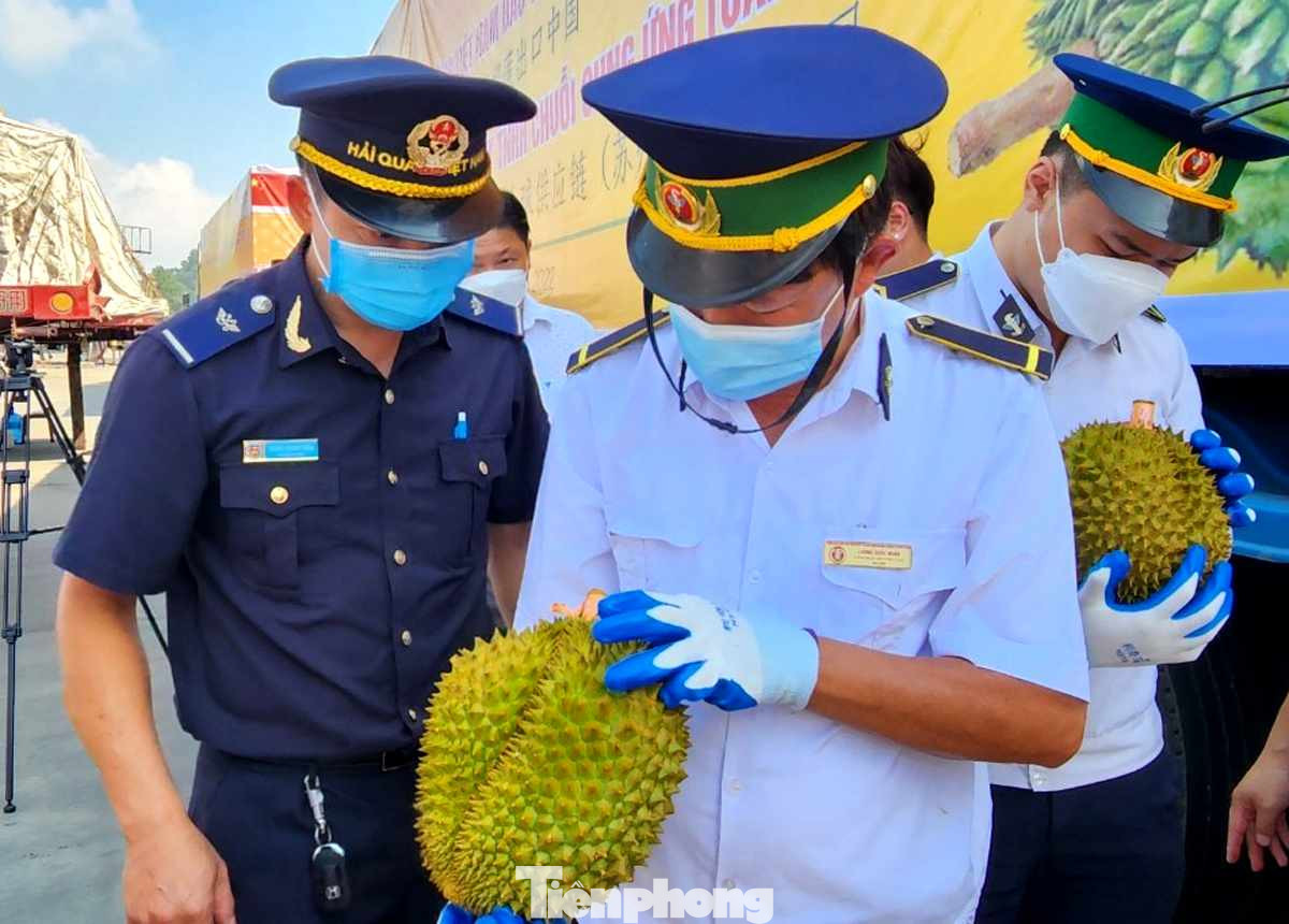 Các ngành chức năng kiểm tra hàng hóa trước khi thông quan bán sang Trung Quốc. Ảnh: Duy Chiến .