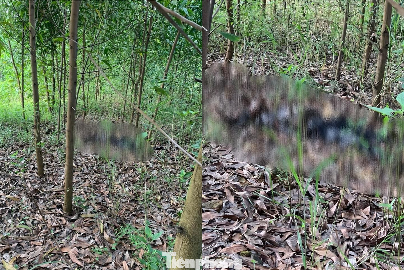 Hiện trường sự việc. Hiện trường sự việc.