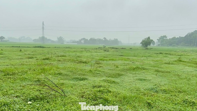 Diện tích đất thu hồi của dân phục vụ dự án bỏ hoang hóa.