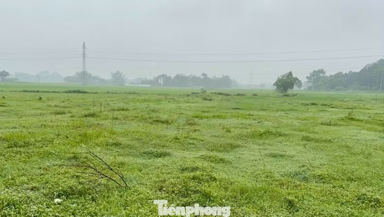 Diện tích đất thu hồi của dân phục vụ dự án bỏ hoang hóa.