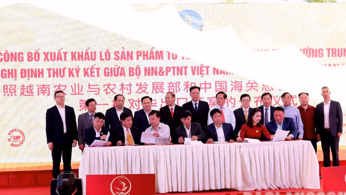 Các ngành chức năng Việt Nam và Trung Quốc ký kết hợp tác xuất khẩu tổ yến.