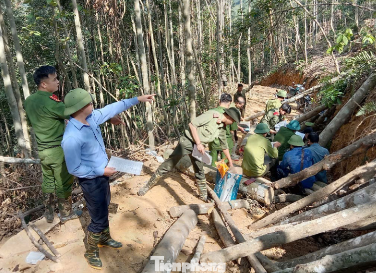 Hiện trường vụ việc. Hiện trường vụ việc.