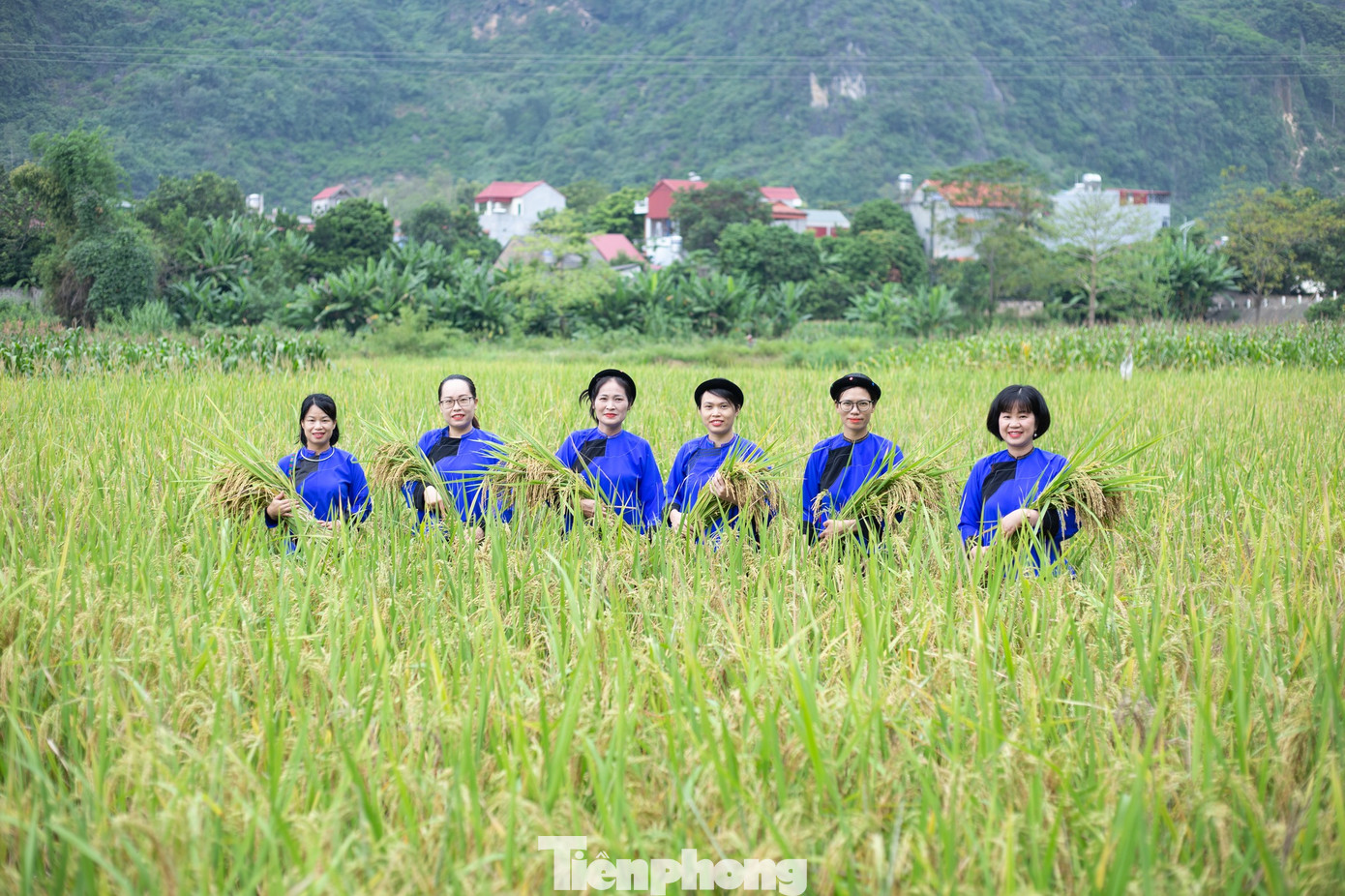 Vẻ đẹp cuộc sống hàng ngày.