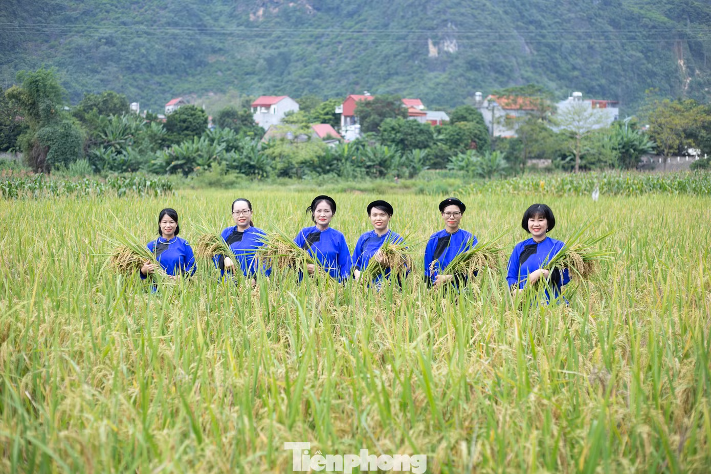 Vẻ đẹp cuộc sống hàng ngày.