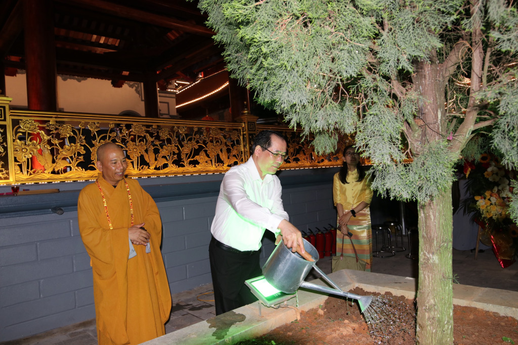 Trồng cây xanh, xây dựng cảnh quan môi trường.