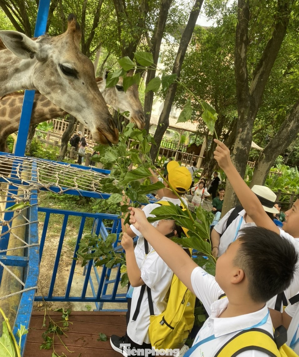 Tham quan, trải nghiệm ở vườn bách thú Quảng Tây, Trung Quốc.